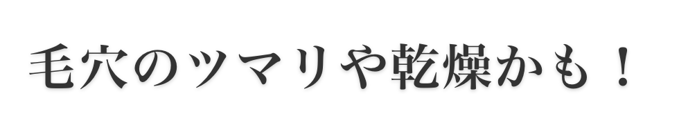 原因は、毛穴のツマリや乾燥かも