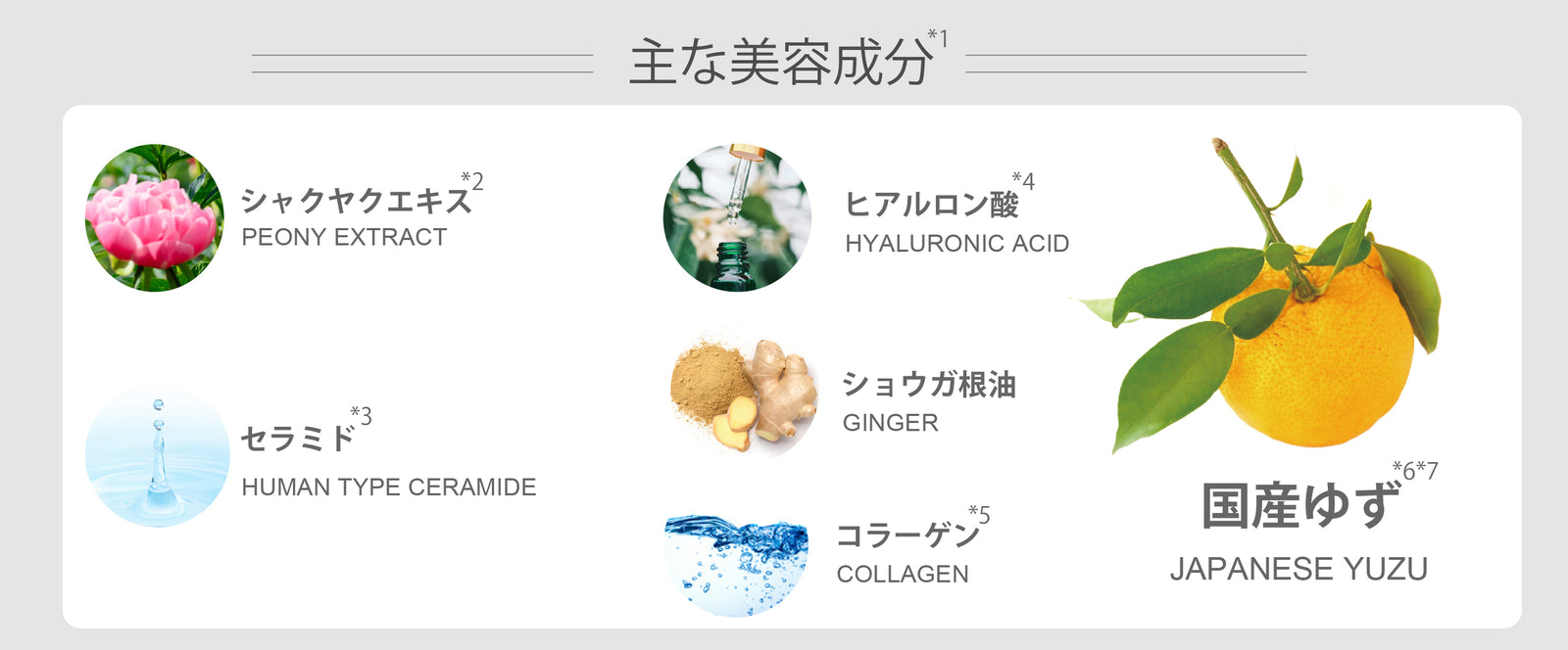 Moist lotion Yuzu 180mL – Nursery Japan